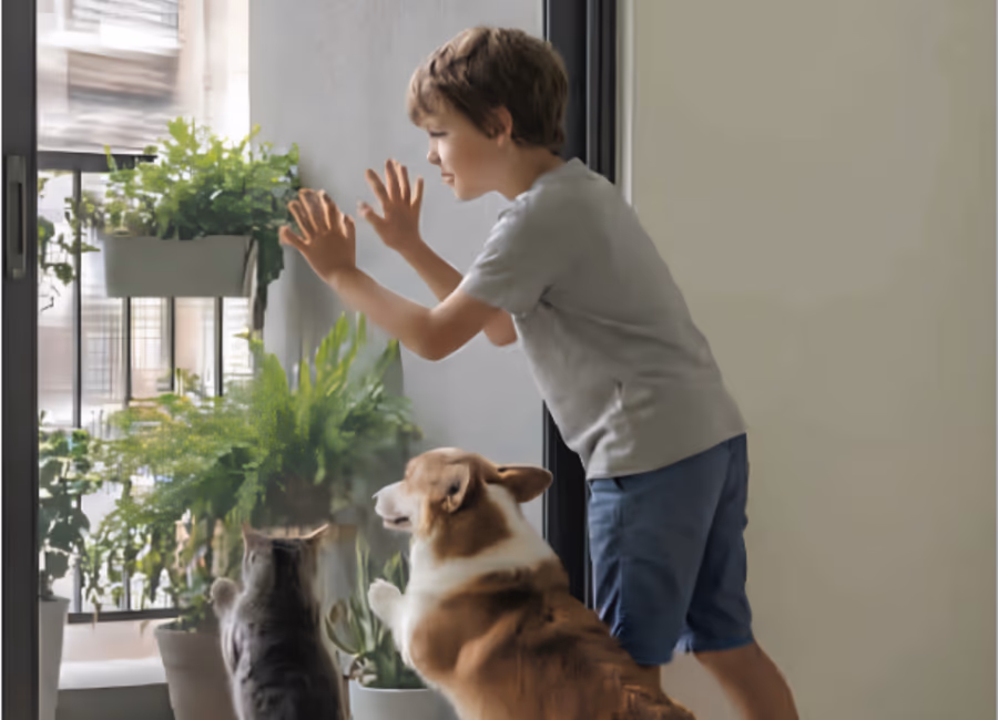 Boy with a dog and cat at a Singapore balcony sliding door fitted with insect mesh